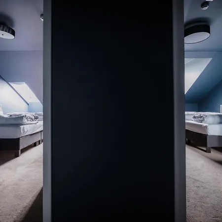 酒店 路易斯酒店 雷根斯堡